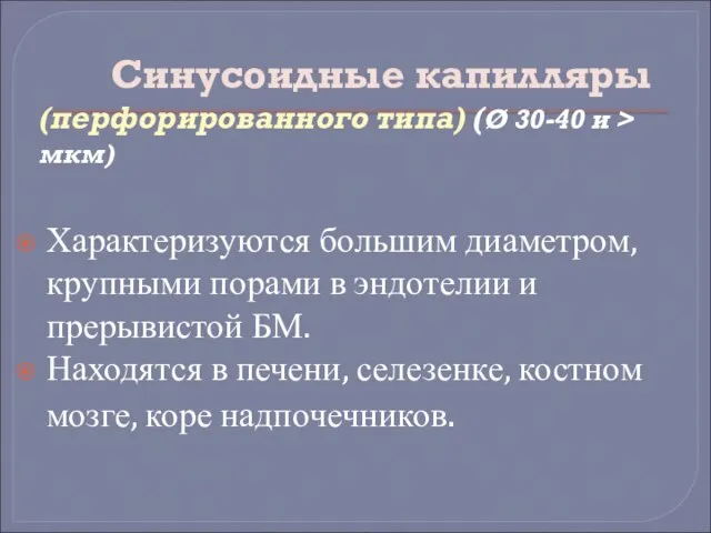 Синусоидные капилляры (перфорированного типа) (Ø 30-40 и > мкм) Характеризуются большим диаметром,