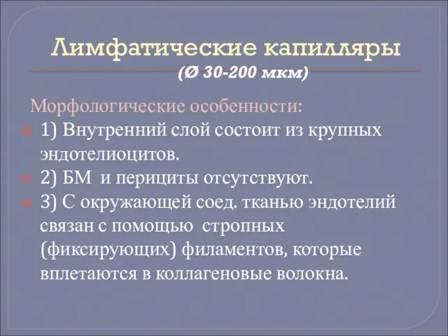 Лимфатические капилляры (Ø 30-200 мкм) Морфологические особенности: 1) Внутренний слой состоит из