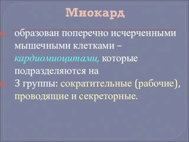 Миокард образован поперечно исчерченными мышечными клетками – кардиомиоцитами, которые подразделяются на 3