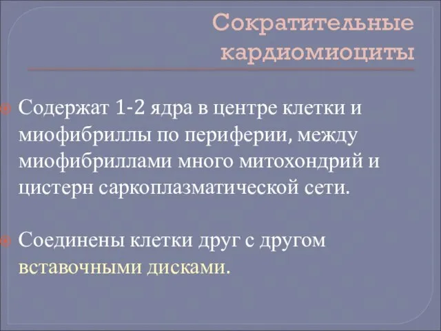 Сократительные кардиомиоциты Содержат 1-2 ядра в центре клетки и миофибриллы по периферии,