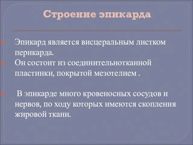 Строение эпикарда Эпикард является висцеральным листком перикарда. Он состоит из соединительнотканной пластинки,