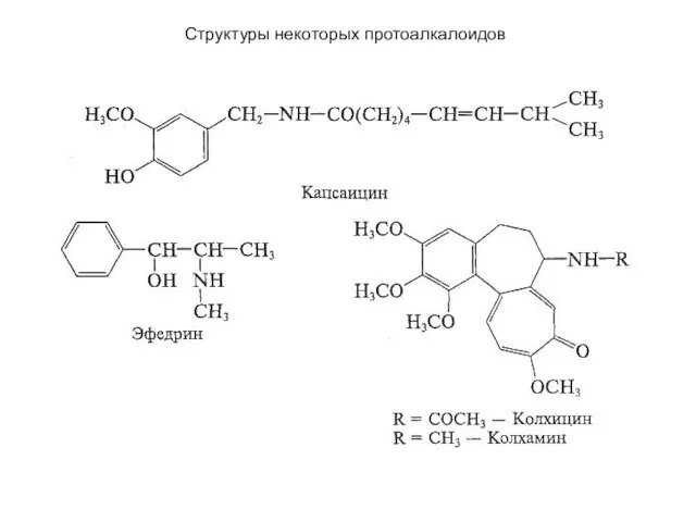 Структуры некоторых протоалкалоидов