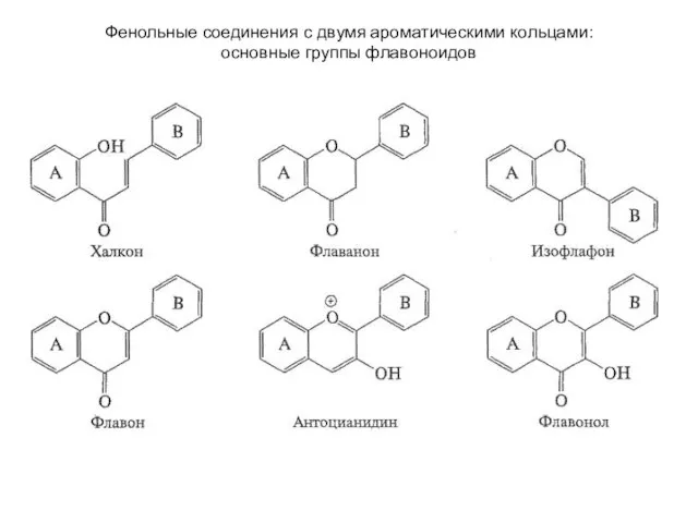 Фенольные соединения с двумя ароматическими кольцами: основные группы флавоноидов
