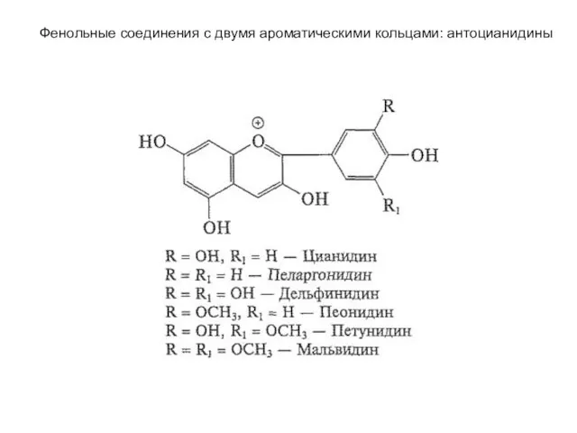 Фенольные соединения с двумя ароматическими кольцами: антоцианидины