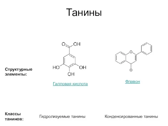 Танины