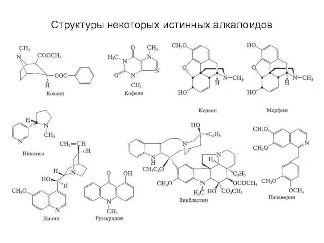 Структуры некоторых истинных алкалоидов