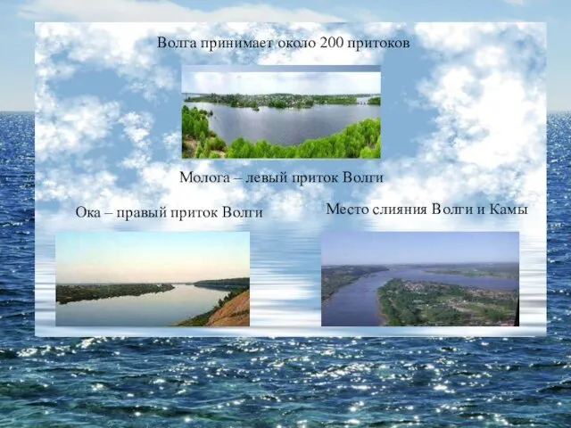 Волга принимает около 200 притоков Молога – левый приток Волги Ока –