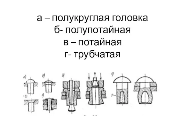 а – полукруглая головка б- полупотайная в – потайная г- трубчатая