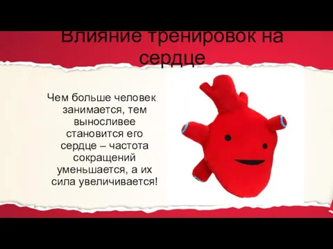 Влияние тренировок на сердце Чем больше человек занимается, тем выносливее становится его