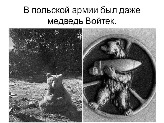 В польской армии был даже медведь Войтек.