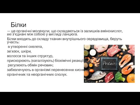 Білки — це органічні молекули, що складаються із залишків амінокислот, які з’єднані