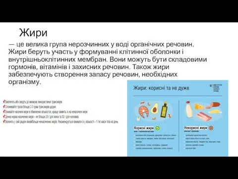 Жири — це велика група нерозчинних у воді органічних речовин. Жири беруть