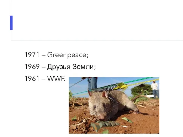 1971 – Greenpeace; 1969 – Друзья Земли; 1961 – WWF.