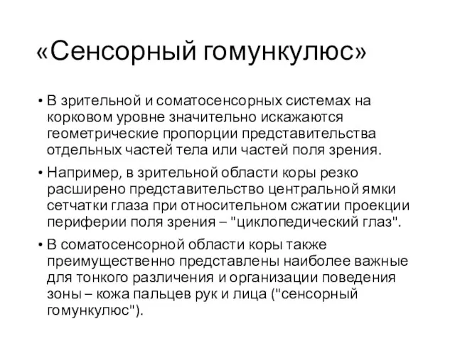 «Сенсорный гомункулюс» В зрительной и соматосенсорных системах на корковом уровне значительно искажаются