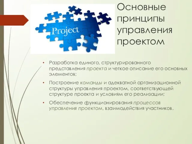 Основные принципы управления проектом Разработка единого, структурированного представления проекта и четкое описание