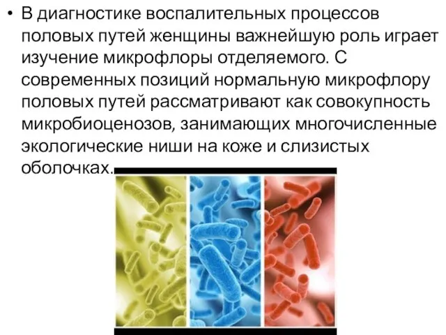 В диагностике воспалительных процессов половых путей женщины важнейшую роль играет изучение микрофлоры