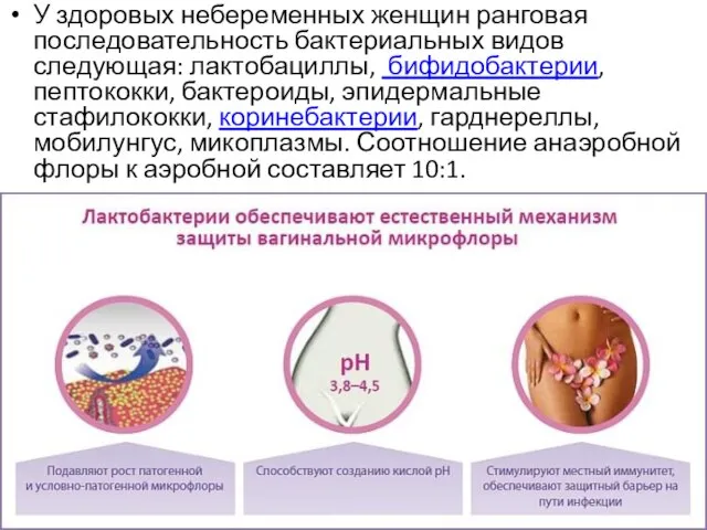 У здоровых небеременных женщин ранговая последовательность бактериальных видов следующая: лактобациллы, бифидобактерии, пептококки,