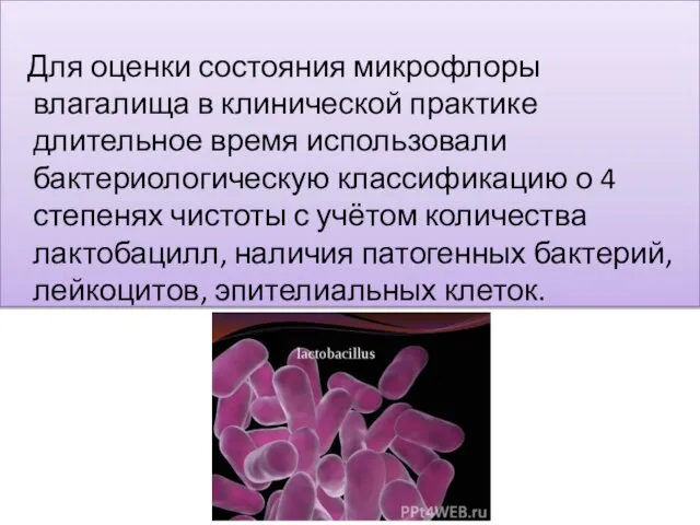 Для оценки состояния микрофлоры влагалища в клинической практике длительное время использовали бактериологическую