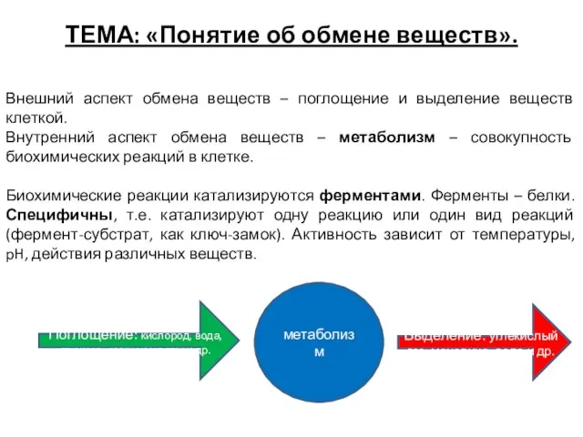 ТЕМА: «Понятие об обмене веществ». Внешний аспект обмена веществ – поглощение и