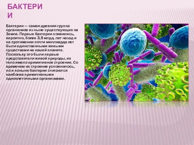 БАКТЕРИИ Бактерии — самая древняя группа организмов из ныне существующих на Земле.
