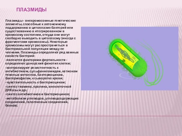 ПЛАЗМИДЫ Плазмиды - внехромосомные генетические элементы, способные к автономному поддержанию в цитоплазме