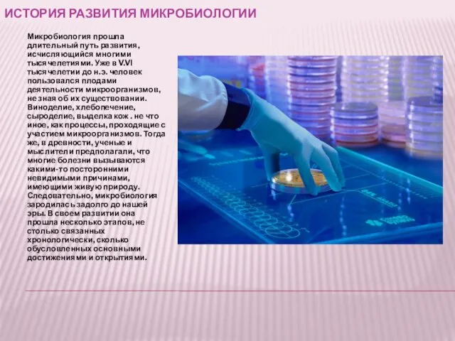 ИСТОРИЯ РАЗВИТИЯ МИКРОБИОЛОГИИ Микробиология прошла длительный путь развития, исчисляющийся многими тысячелетиями. Уже