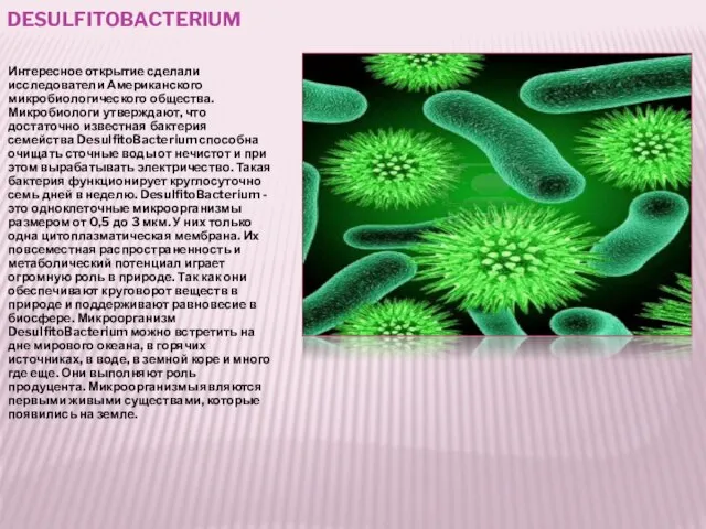 DESULFITOBACTERIUM Интересное открытие сделали исследователи Американского микробиологического общества. Микробиологи утверждают, что достаточно