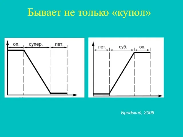 Бывает не только «купол» Бродский, 2006