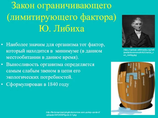 Закон ограничивающего (лимитирующего фактора) Ю. Либиха Наиболее значим для организма тот фактор,