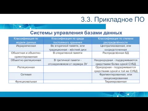 3.3. Прикладное ПО Системы управления базами данных