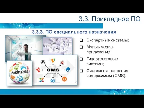 3.3. Прикладное ПО 3.3.3. ПО специального назначения Экспертные системы; Мультимедиа-приложения; Гипертекстовые системы; Системы управления содержимым (CMS).