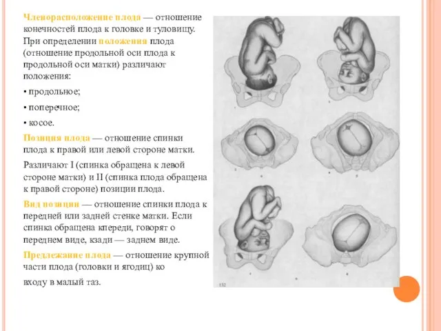 Членорасположение плода — отношение конечностей плода к головке и туловищу. При определении