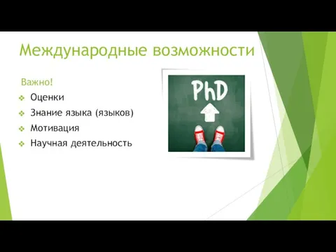 Международные возможности Важно! Оценки Знание языка (языков) Мотивация Научная деятельность