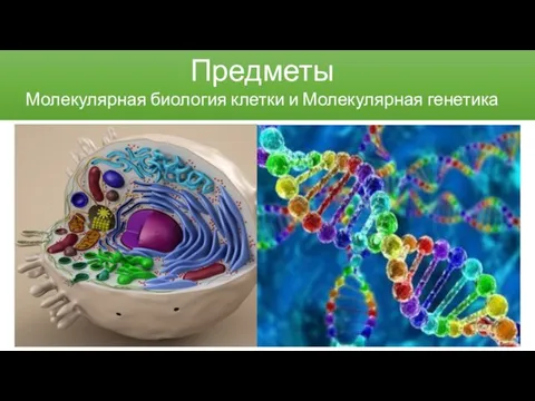 Предметы Молекулярная биология клетки и Молекулярная генетика