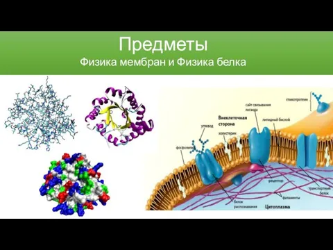 Предметы Физика мембран и Физика белка