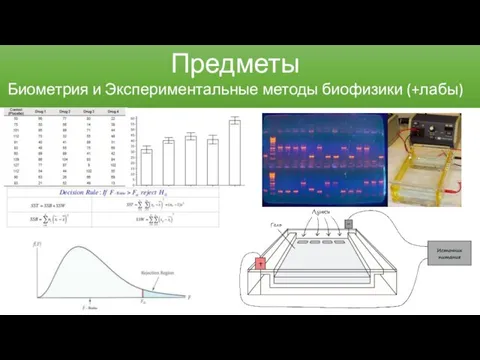 Предметы Биометрия и Экспериментальные методы биофизики (+лабы)