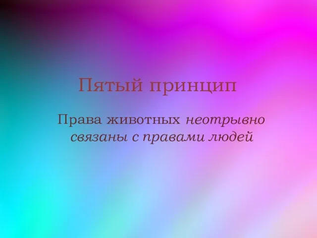 Пятый принцип Права животных неотрывно связаны с правами людей