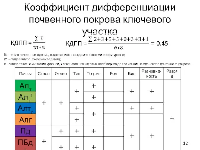 Коэффициент дифференциации почвенного покрова ключевого участка Е – число почвенных единиц, выделяемых