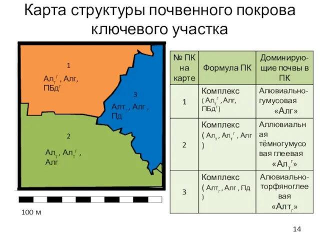 Карта структуры почвенного покрова ключевого участка 100 м Алтг , Алг, ПБдг