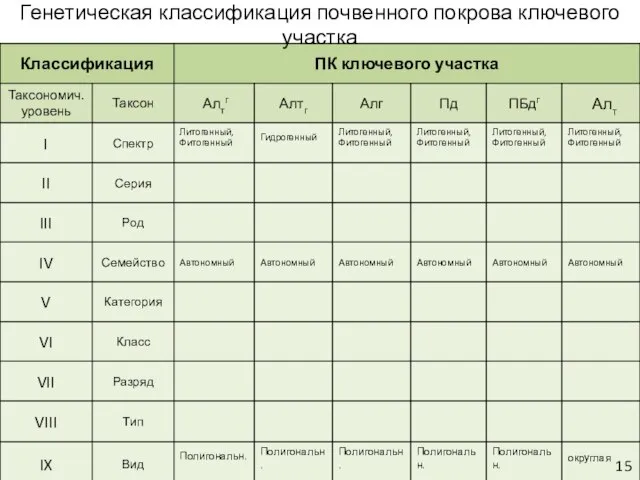 Генетическая классификация почвенного покрова ключевого участка