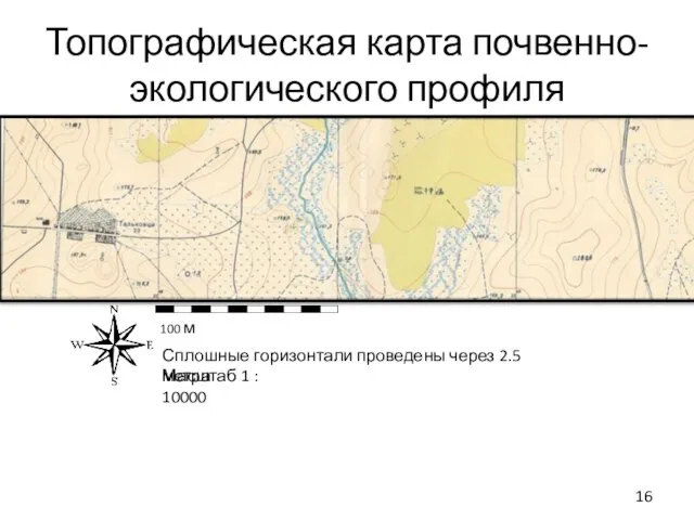 Топографическая карта почвенно-экологического профиля 100 м Сплошные горизонтали проведены через 2.5 метра Масштаб 1 : 10000