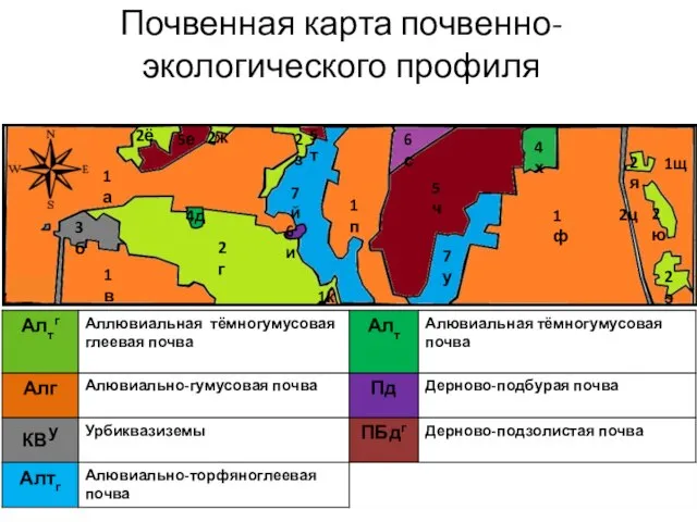 Почвенная карта почвенно-экологического профиля 1а 1в 1к 1п 1ф 1щ 2г 2ё
