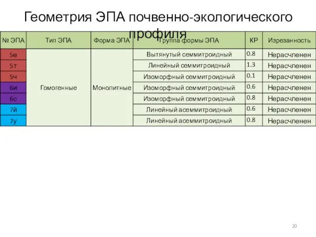 Геометрия ЭПА почвенно-экологического профиля