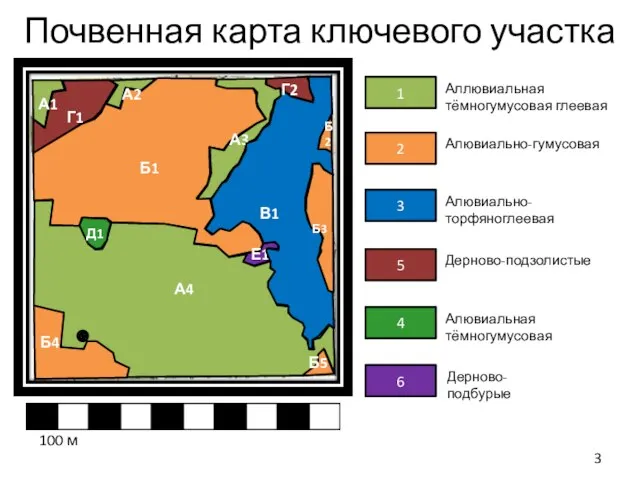 Почвенная карта ключевого участка 100 м Г1 Б1 Е1 А3 В1 Б2