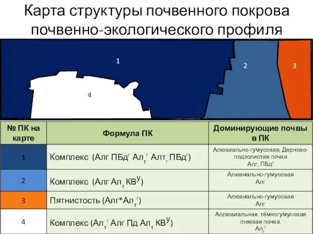 Карта структуры почвенного покрова почвенно-экологического профиля 1 2 3 4