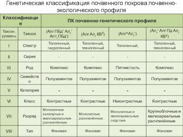 Генетическая классификация почвенного покрова почвенно-экологического профиля