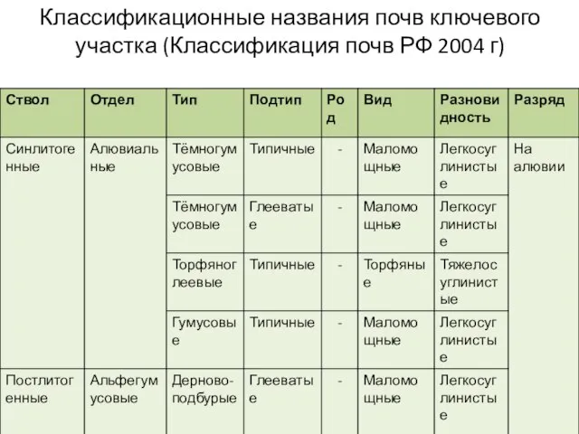 Классификационные названия почв ключевого участка (Классификация почв РФ 2004 г)