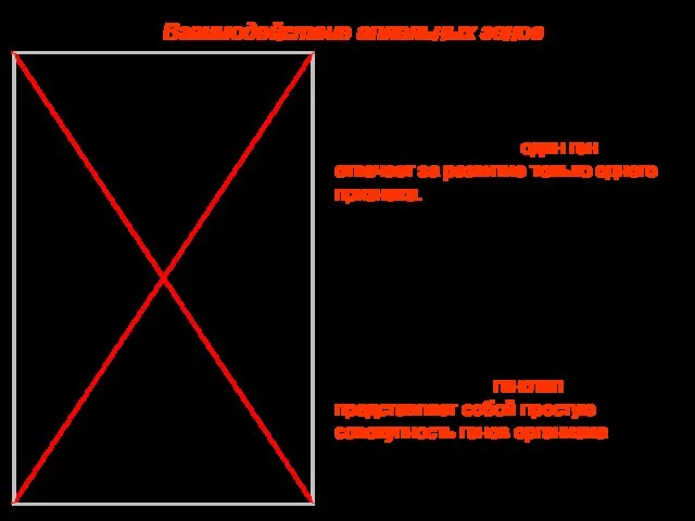 Изучая закономерности наследования, Г.Мендель исходил из предположения, что один ген отвечает за