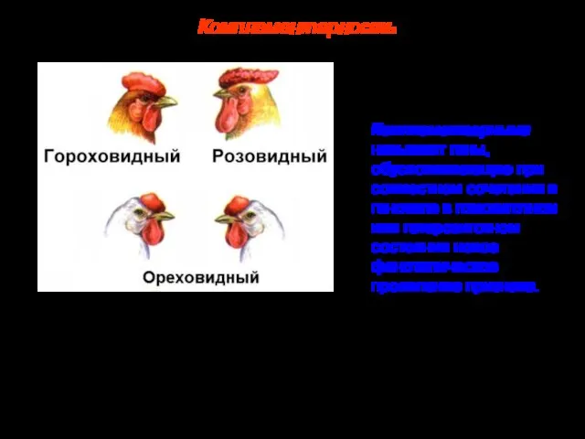 Комплементарность Комплементарное взаимодействие. Комплементарными называют гены, обусловливающие при совместном сочетании в генотипе