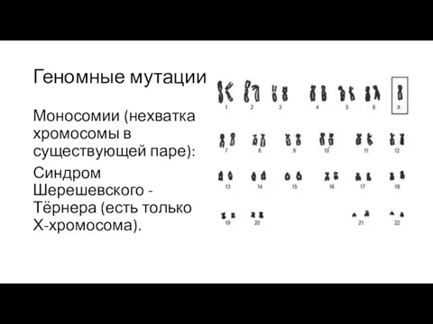 Геномные мутации Моносомии (нехватка хромосомы в существующей паре): Синдром Шерешевского - Тёрнера (есть только Х-хромосома).